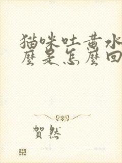 猫咪吐黄水是怎么是怎么回事