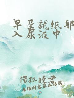 早孕试纸那头放入尿液中