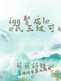 iga肾病lee氏三级可以逆转到二级吗