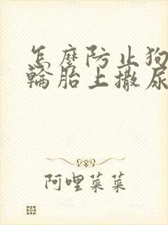 怎么防止狗狗在轮胎上撒尿