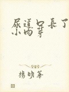 尿道口长了一排小肉芽