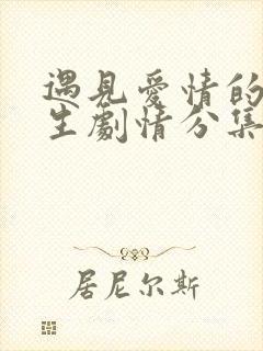 遇见爱情的利先生剧情分集介绍