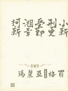 柯湘受刑小说最新章节更新时间