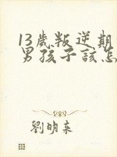 13岁叛逆期的男孩子该怎样去沟通教育