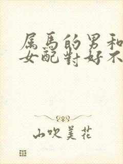 属马的男和属蛇女配对好不好