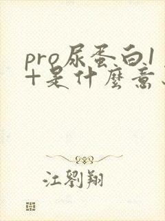 pro尿蛋白1+是什么意思