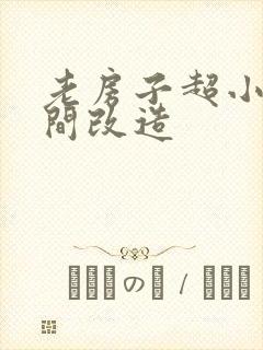 老房子超小卫生间改造