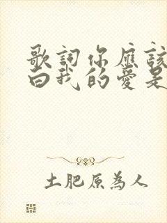 歌词你应该会明白我的爱是什么歌