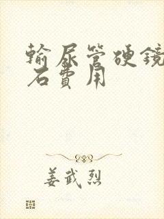 输尿管硬镜取结石费用