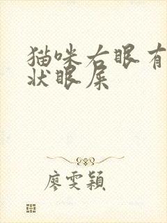 猫咪右眼有黄脓状眼屎