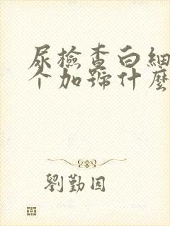 尿检查白细胞一个加号什么意思