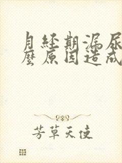 月经期漏尿是什么原因造成的