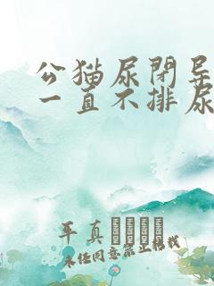 公猫尿闭导尿后一直不排尿