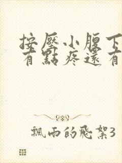 按压小腹下面会有点疼还有尿意