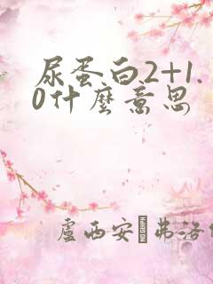 尿蛋白2+1.0什么意思