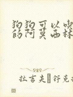 狗狗可以吃人吃的阿莫西林吗?