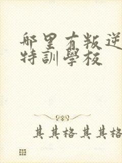 哪里有叛逆孩子特训学校