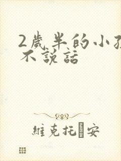 2岁半的小孩还不说话