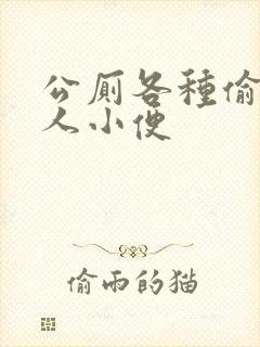 公厕各种偷拍女人小便