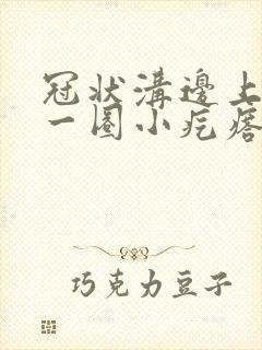 冠状沟边上长了一圈小疙瘩