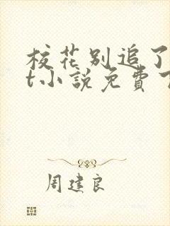 校花别追了txt小说免费下载