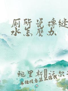 厕所瓷砖缝隙渗水怎么办