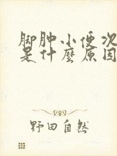 脚肿小便次数多是什么原因