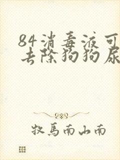 84消毒液可以去除狗狗尿骚味吗