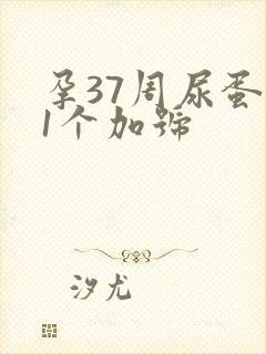 孕37周尿蛋白1个加号