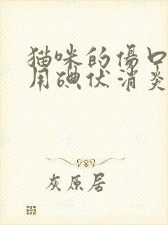 猫咪的伤口可以用碘伏消炎吗?