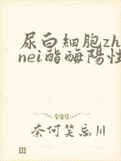 尿白细胞zhinei酯酶阳性