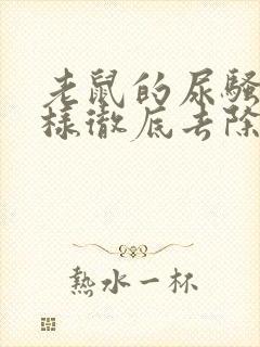 老鼠的尿骚味怎样彻底去除