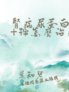 肾病尿蛋白3个+号怎么治疗