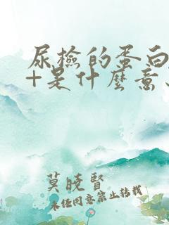 尿检的蛋白质3+是什么意思