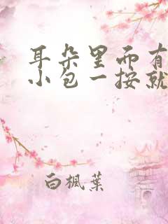 耳朵里面有一个小包一按就疼