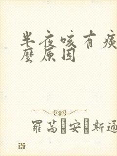 半夜咳有痰是什么原因