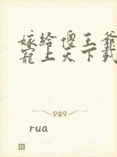 嫁给傻王爷后被宠上天下载txt