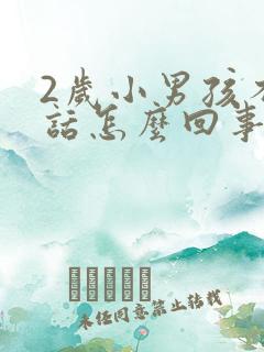 2岁小男孩不说话怎么回事