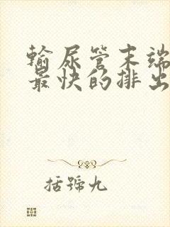 输尿管末端结石最快的排出方法