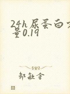 24h尿蛋白定量0.19