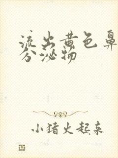 流出黄色鼻涕状分泌物