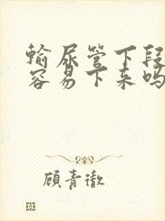 输尿管下段结石容易下来吗