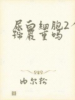 尿白细胞2个加号严重吗