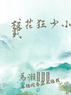 校花狂少小说下载