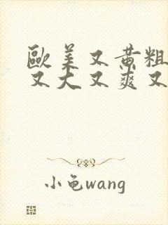 欧美又黄粗又色又大又爽又刺激的视频