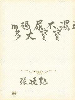 m码尿不湿适合多大宝宝