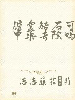 胆囊结石可以吃中药去除吗?