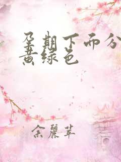 孕期下面分泌物黄绿色