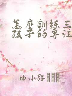 怎么训练三年级孩子的专注力