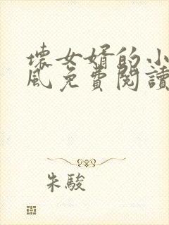 坏女婿的小说南风免费阅读下载全文最新